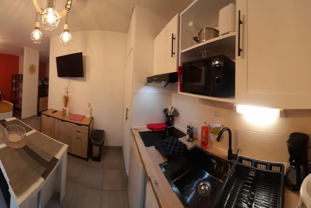 Appartement Du Chamois Roux, Dans Residence De Tourisme 3 Etoiles 卢德 外观 照片